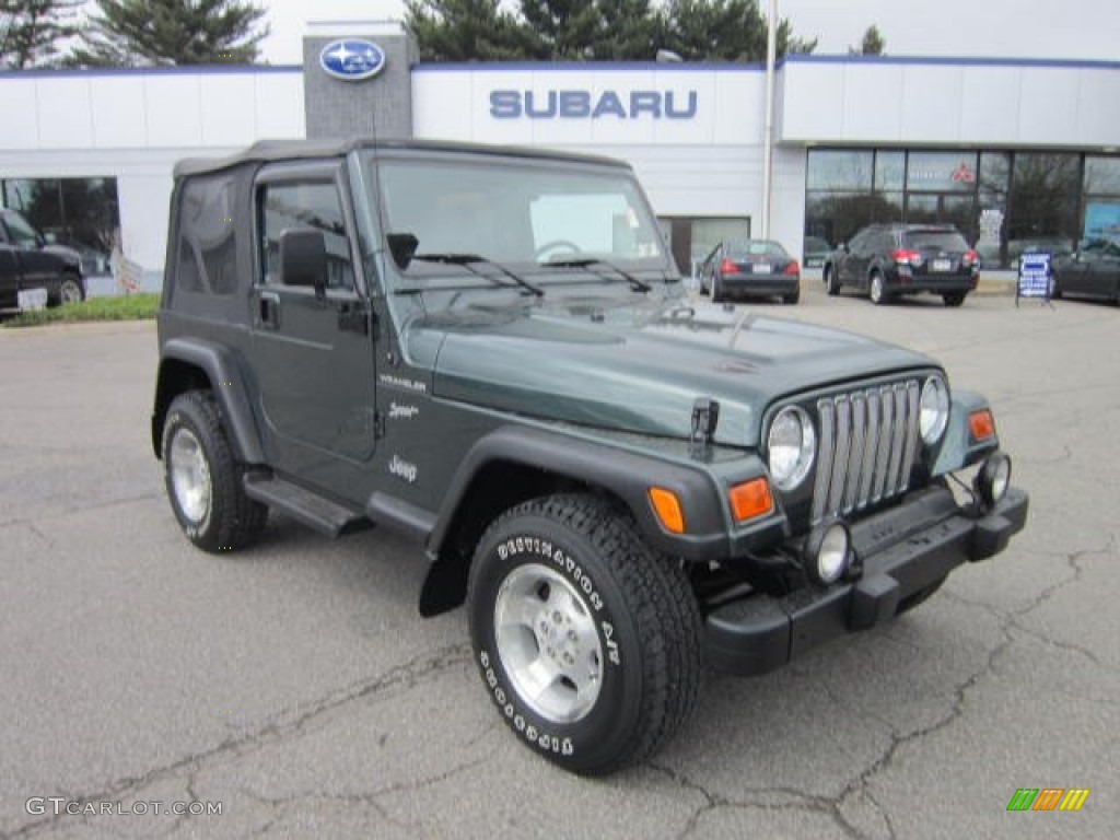 2002 Wrangler Sport 4x4 - Shale Green Metallic / Agate Black photo #1