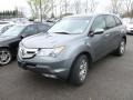 Nimbus Gray Metallic 2008 Acura MDX Standard MDX Model Exterior
