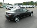 2009 Sparkling Black Mica Mazda RX-8 Sport  photo #5