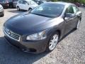 Dark Slate - Maxima 3.5 SV Photo No. 7