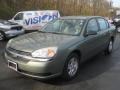 2005 Silver Green Metallic Chevrolet Malibu LS V6 Sedan  photo #1