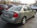 2005 Silver Green Metallic Chevrolet Malibu LS V6 Sedan  photo #2