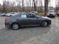 Magnetic Gray Metallic - Camry XLE Photo No. 9
