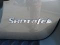2009 Platinum Sage Hyundai Santa Fe GLS  photo #10