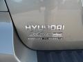 2009 Platinum Sage Hyundai Santa Fe GLS  photo #12