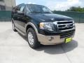 2012 Green Gem Metallic Ford Expedition XLT  photo #1