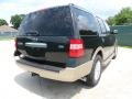 2012 Green Gem Metallic Ford Expedition XLT  photo #3