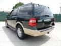 2012 Green Gem Metallic Ford Expedition XLT  photo #5