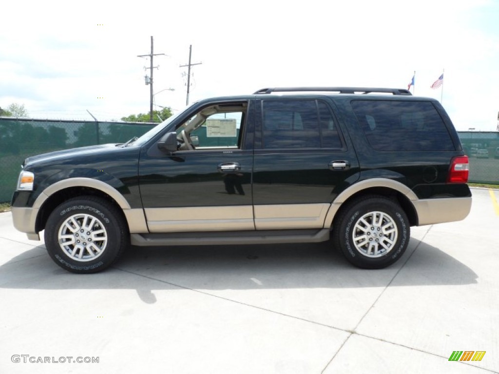Green Gem Metallic 2012 Ford Expedition XLT Exterior Photo #63715957