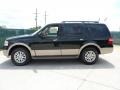 2012 Green Gem Metallic Ford Expedition XLT  photo #6