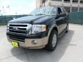 2012 Green Gem Metallic Ford Expedition XLT  photo #7