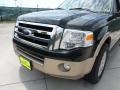 2012 Green Gem Metallic Ford Expedition XLT  photo #10