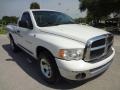 2005 Bright White/Custom Graphics Dodge Ram 1500 ST Regular Cab  photo #9