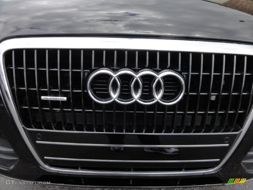 2009 Q5 3.2 Premium quattro - Brilliant Black / Cardamom Beige photo #33