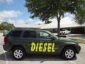 Jeep Green Metallic - Grand Cherokee Laredo 4x4 Photo No. 10