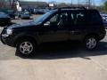 Java Black - Freelander SE Photo No. 2