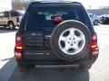Java Black - Freelander SE Photo No. 5