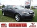 Platinum Graphite - Optima LX Photo No. 1