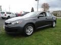 Platinum Graphite - Optima LX Photo No. 2