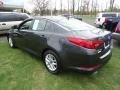Platinum Graphite - Optima LX Photo No. 7