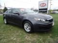 Platinum Graphite - Optima LX Photo No. 20