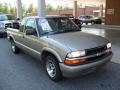 Light Pewter Metallic - S10 LS Extended Cab Photo No. 5