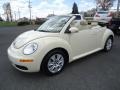 Harvest Moon Beige 2010 Volkswagen New Beetle 2.5 Convertible Exterior