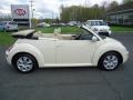 2010 Harvest Moon Beige Volkswagen New Beetle 2.5 Convertible  photo #4