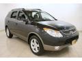 2008 Black Diamond Metallic Hyundai Veracruz Limited  photo #1