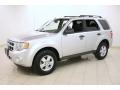 2010 Ingot Silver Metallic Ford Escape XLT  photo #3