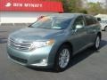 Aloe Green Metallic - Venza I4 Photo No. 1