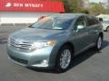 2011 Aloe Green Metallic Toyota Venza I4  photo #1