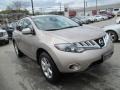 Saharan Stone Metallic - Murano S AWD Photo No. 6