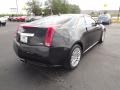 Black Raven - CTS Coupe Photo No. 5