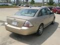 Dune Pearl Metallic - Taurus SEL Photo No. 5