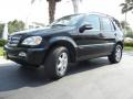 Black - ML 350 4Matic Photo No. 2