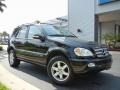 Black - ML 350 4Matic Photo No. 4