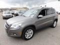 Alpine Grey Metallic - Tiguan SE Photo No. 2