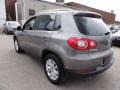 Alpine Grey Metallic - Tiguan SE Photo No. 11