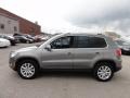 Alpine Grey Metallic - Tiguan SE Photo No. 12