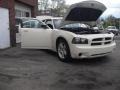 Stone White - Charger SE Photo No. 46