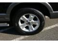 2004 Black Ford Explorer XLT 4x4  photo #8