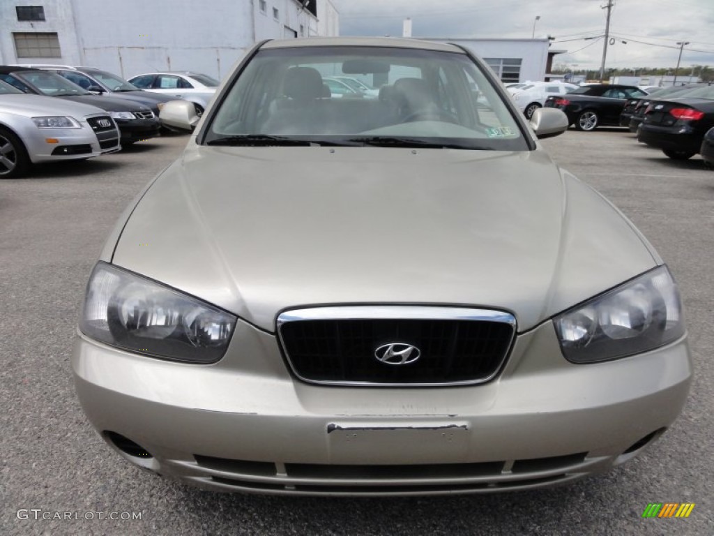 2001 Elantra GLS - Champagne / Beige photo #4