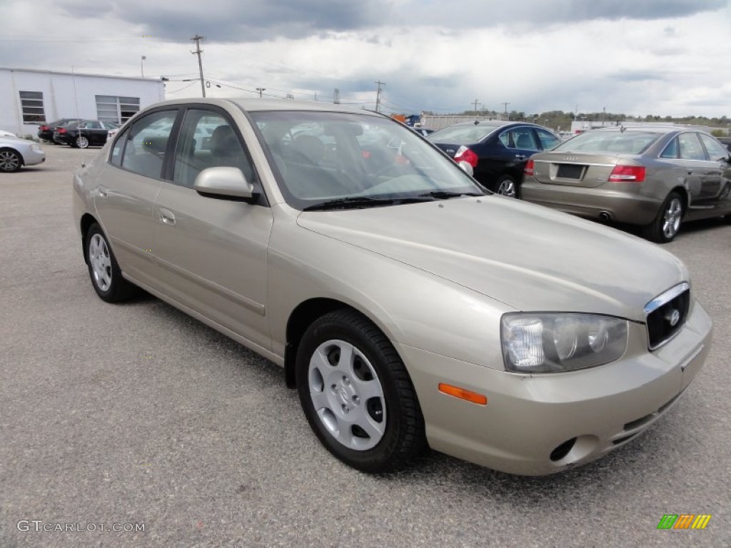 2001 Elantra GLS - Champagne / Beige photo #5