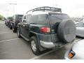 Black Diamond - FJ Cruiser 4WD Photo No. 3