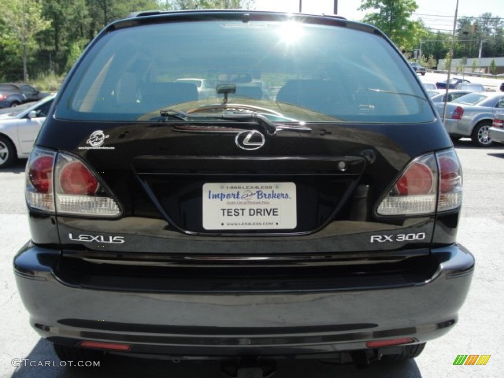 2003 RX 300 - Black Onyx / Ivory photo #10