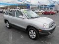 Pewter Gray - Santa Fe GLS 4WD Photo No. 1