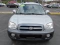 Pewter Gray - Santa Fe GLS 4WD Photo No. 5