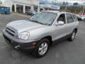 Pewter Gray - Santa Fe GLS 4WD Photo No. 6