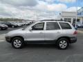 Pewter Gray - Santa Fe GLS 4WD Photo No. 7